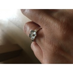 Mt 16,3 zilveren flower ring